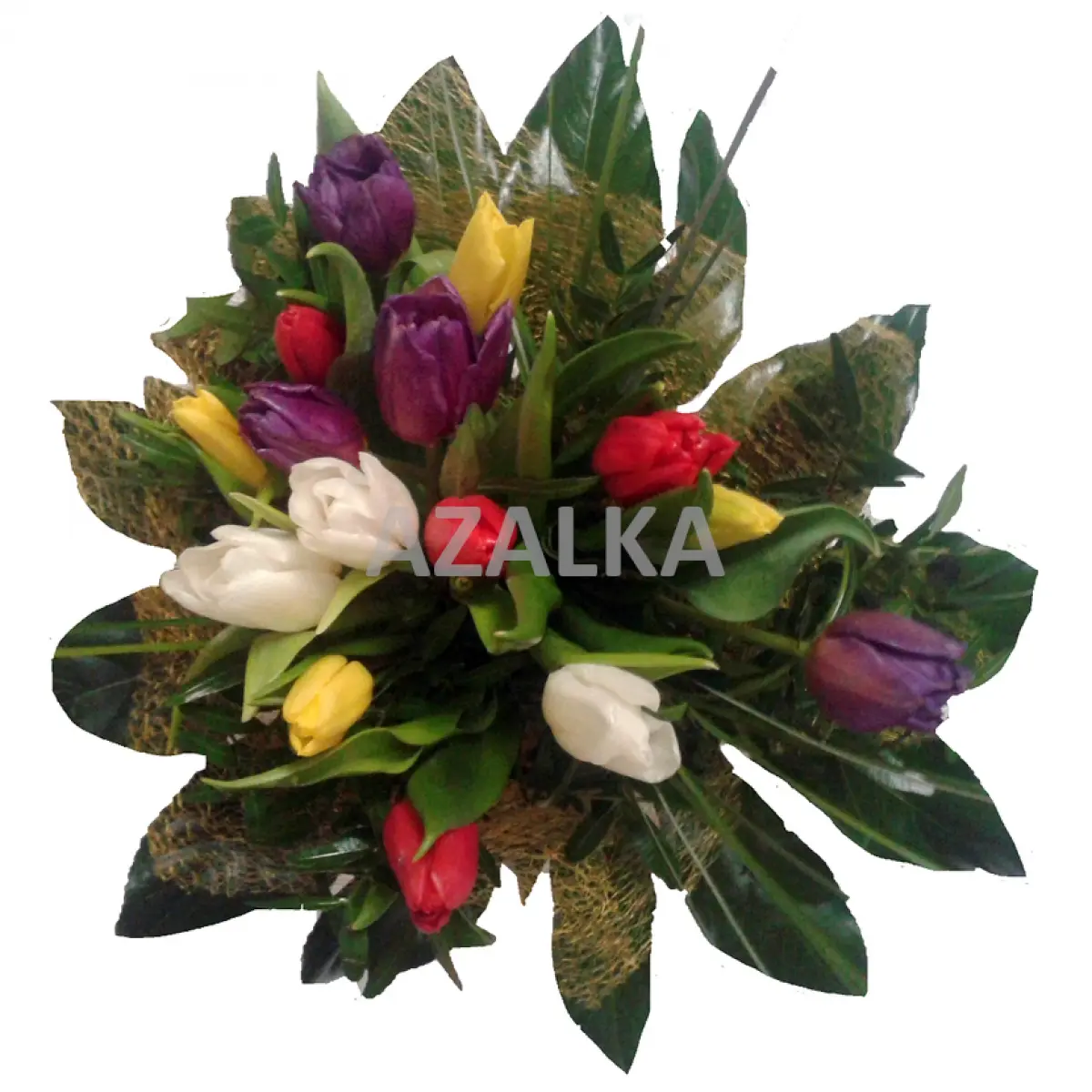 Kytice Tulipánu