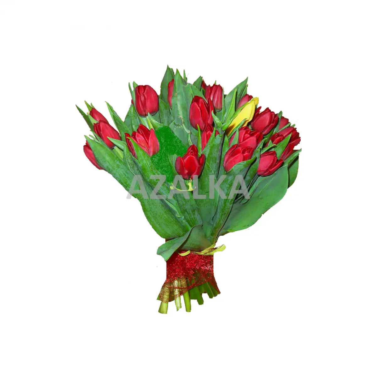 Tulipány Červené